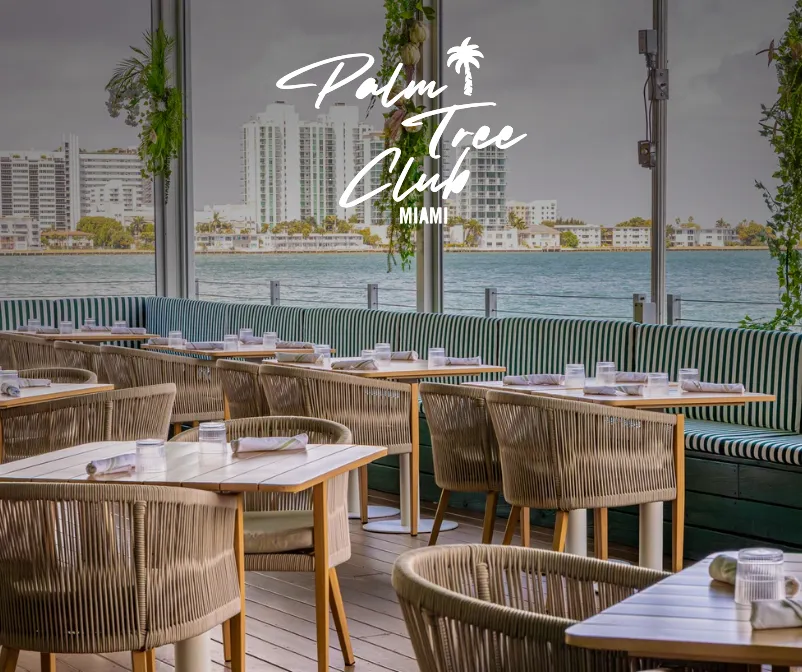 Palm Tree Club - Hotel